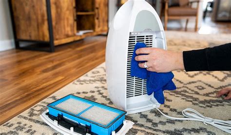 can you wash air purifier filters: Exploring Maintenance Myths and Realistic Care Practices for Clean Air